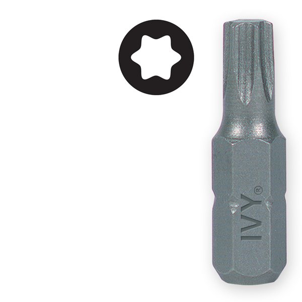 1" T6 Torx Insert Bit