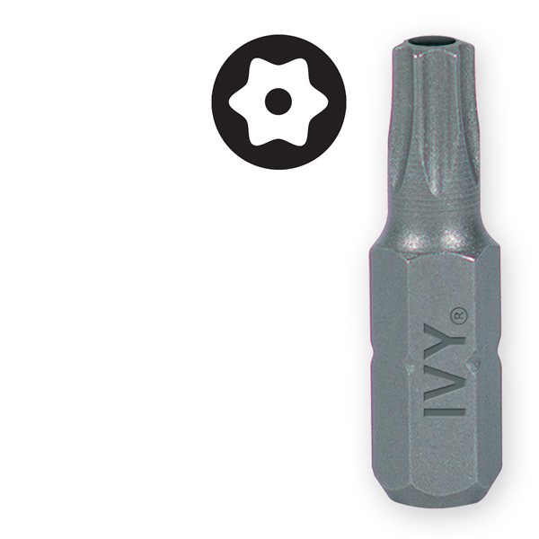 1" T8 Torx Tamper Resistant Bit