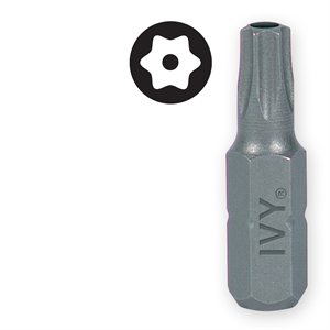 1" T10 Torx Tamper Resistant