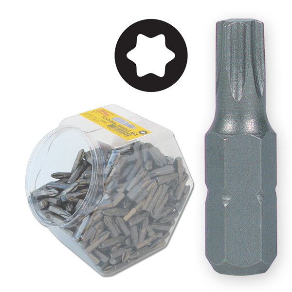 200 pc. 1" T10 Torx Insert Bit