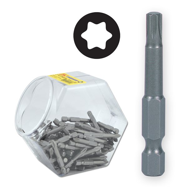 100 pc. 2" T10 Torx Power Bit